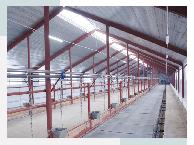 Строительство коровников в Сосногорске от 619 руб.