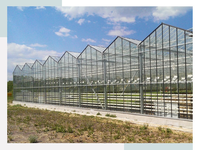 Строительство теплиц в Сосногорск от 619 руб. за м²