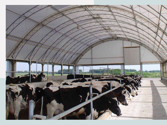 Тентовые коровники в Сосногорске